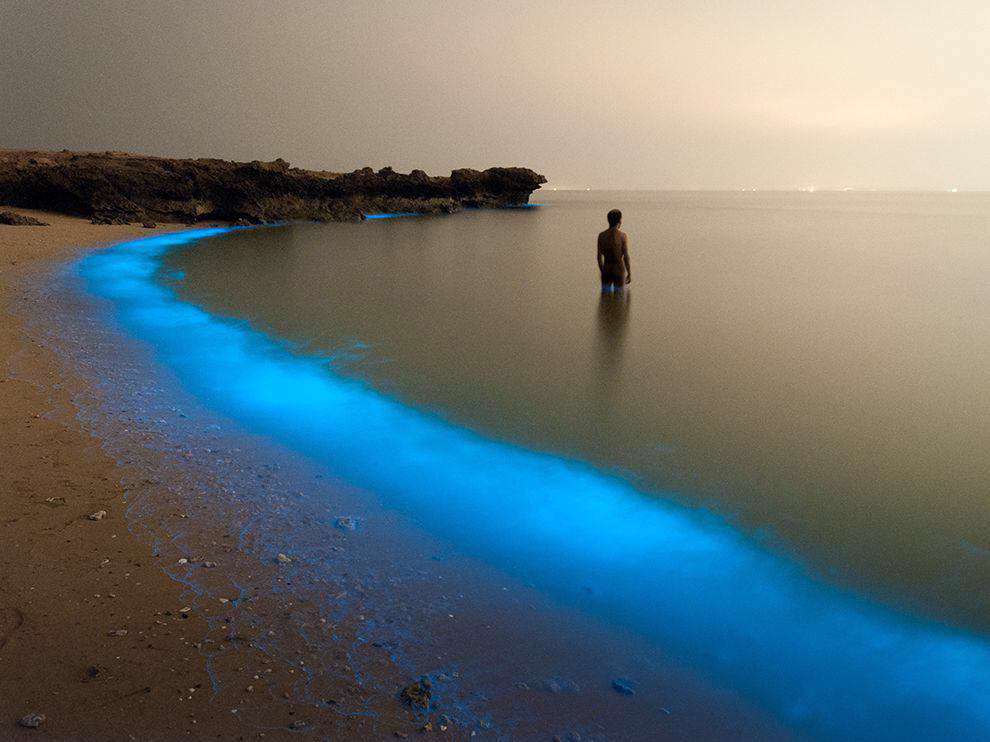 جزیره لارک هرمزگان در خلیج_فارس که پلانکتون ها باعث می‌شوند شب‌ها آب کنار ساحل آبی و درخشان شود